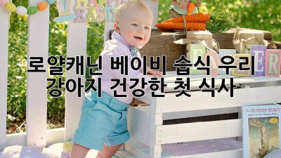 로얄캐닌 베이비 습식: 우리 강아지 건강한 첫 식사
